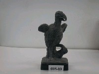 藏品(古生物模型)的圖片